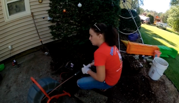 Video: Tree Roots Cause Headache for Homeowner