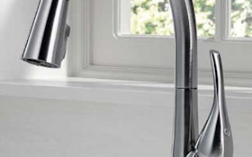 Fixtures - Delta Faucet Esque kitchen faucet