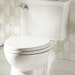 Toilets/Urinals - DXV Wyatt VorMax toilet
