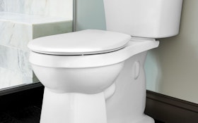 Toilet features a modernized look